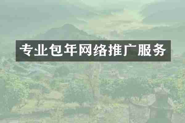 专业包年网络推广服务