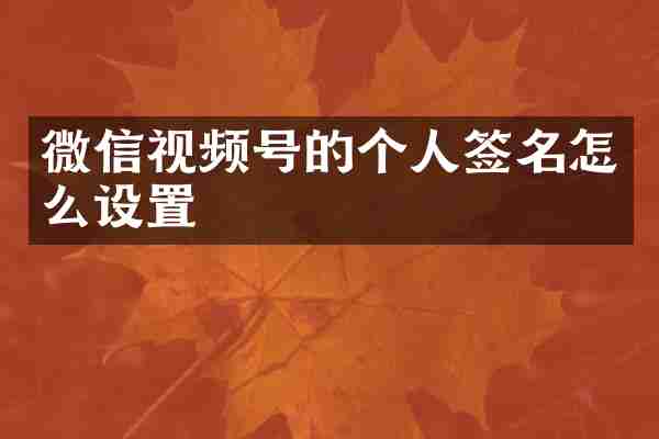 微信视频号的个人签名怎么设置