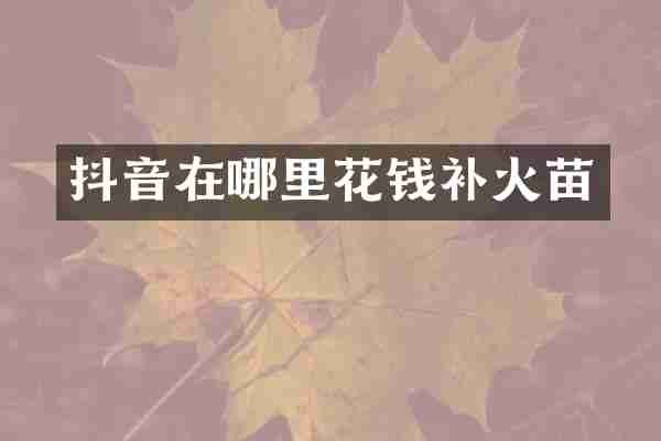 抖音在哪里花钱补火苗