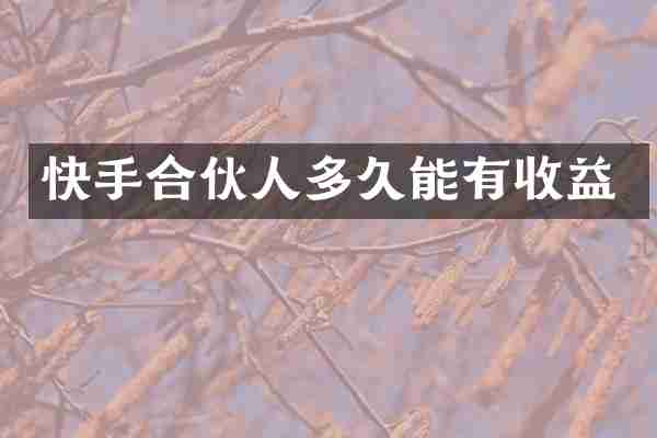 快手合伙人多久能有收益