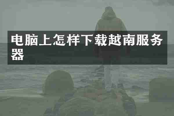 电脑上怎样下载越南服务器