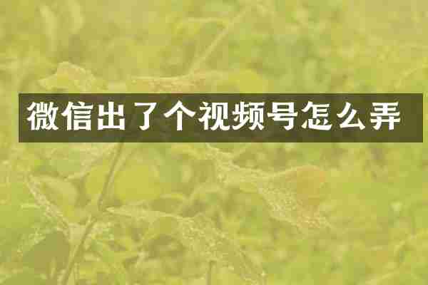 微信出了个视频号怎么弄