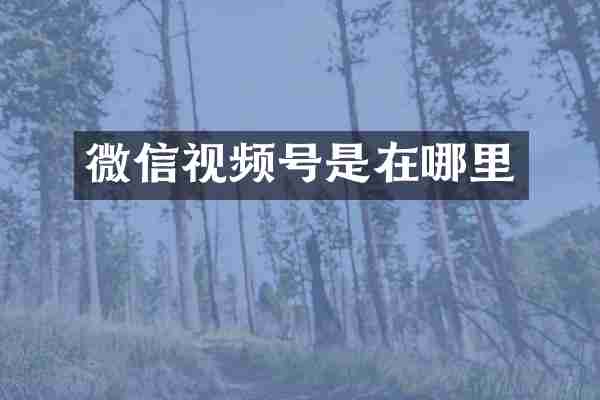 微信视频号是在哪里
