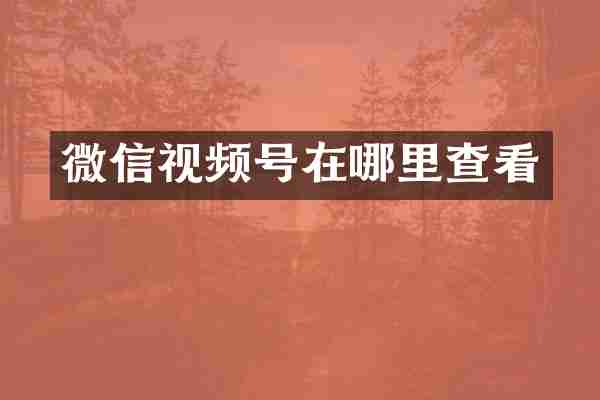 微信视频号在哪里查看