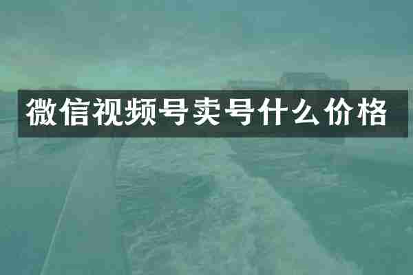 微信视频号卖号什么价格