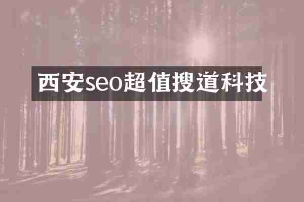 西安seo超值搜道科技