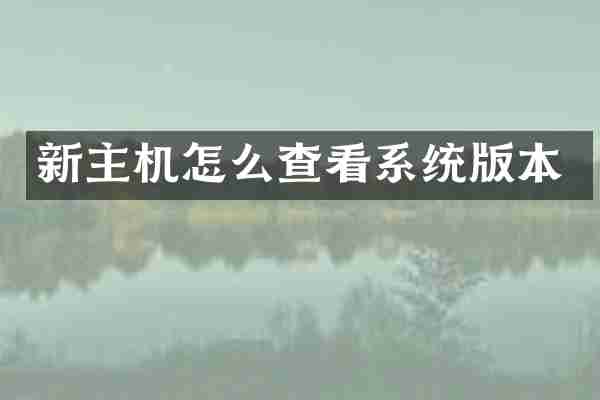 新主机怎么查看系统版本