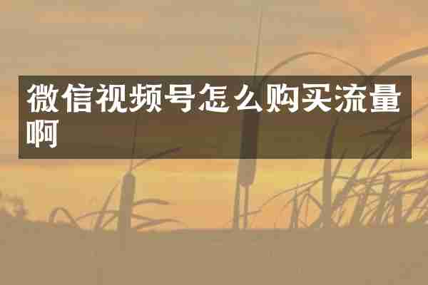 微信视频号怎么购买流量啊