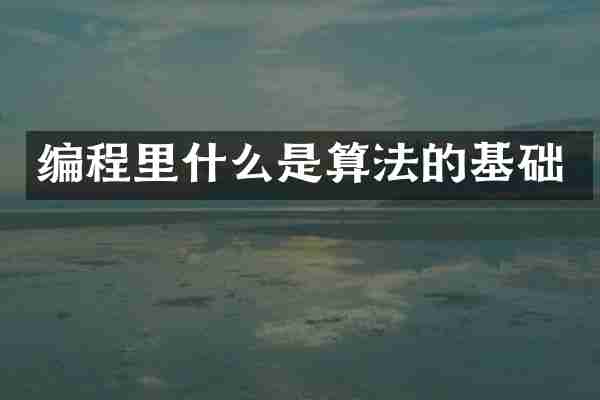 编程里什么是算法的基础