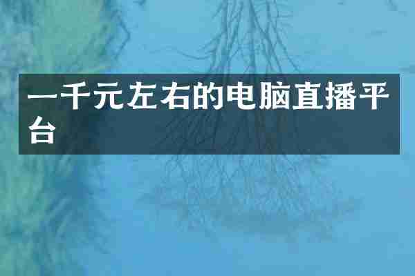 一千元左右的电脑直播平台