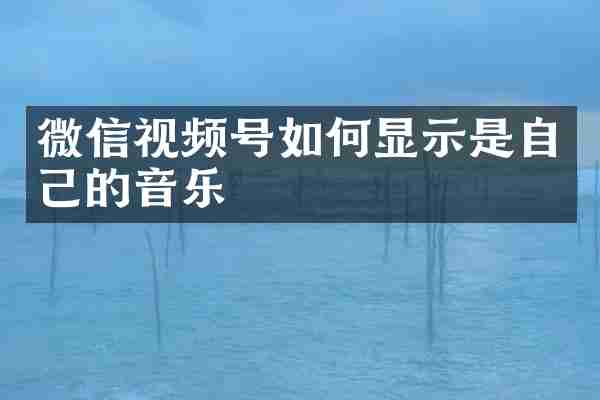 微信视频号如何显示是自己的音乐