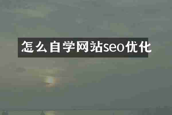 怎么自学网站seo优化