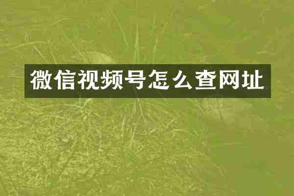 微信视频号怎么查网址