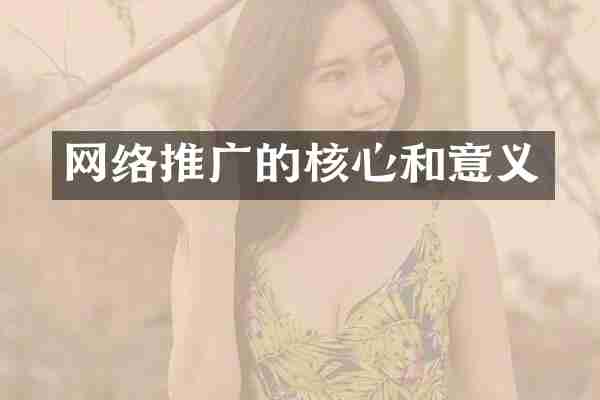 网络推广的核心和意义