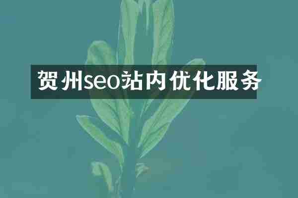 贺州seo站内优化服务