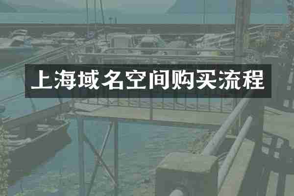 上海域名空间购买流程