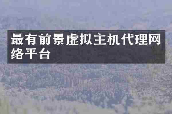 最有前景虚拟主机代理网络平台
