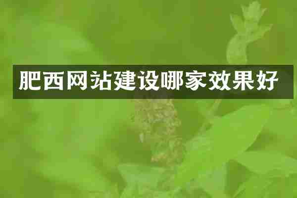 肥西网站建设哪家效果好