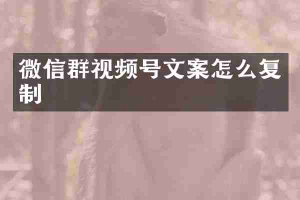 微信群视频号文案怎么复制