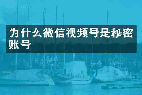 为什么微信视频号是秘密账号