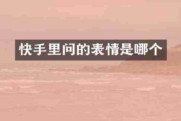 快手里问的表情是哪个