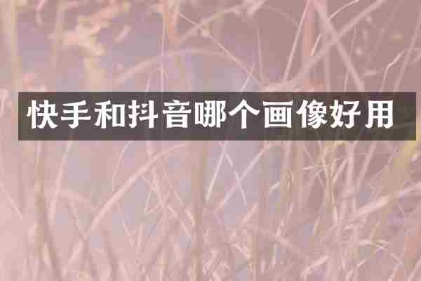 快手和抖音哪个画像好用