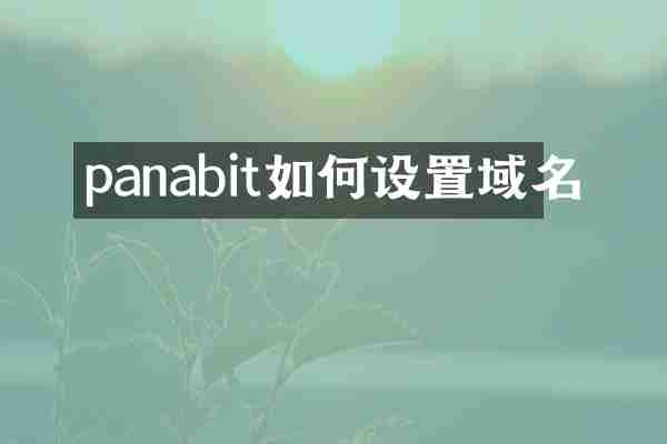 panabit如何设置域名