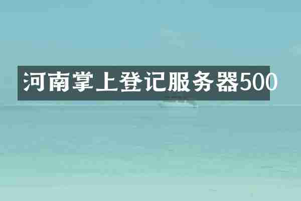 河南掌上登记服务器500