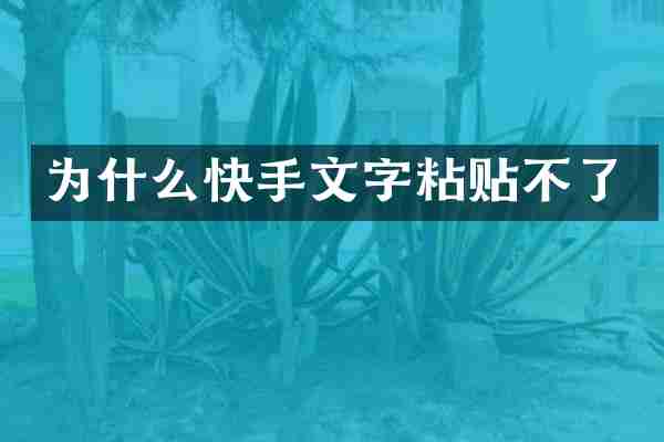 为什么快手文字粘贴不了