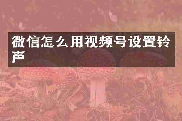 微信怎么用视频号设置铃声