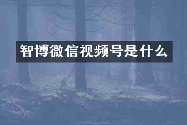 智博微信视频号是什么