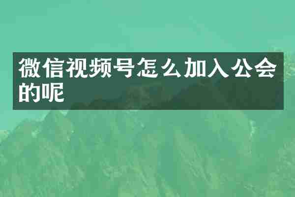 微信视频号怎么加入公会的呢