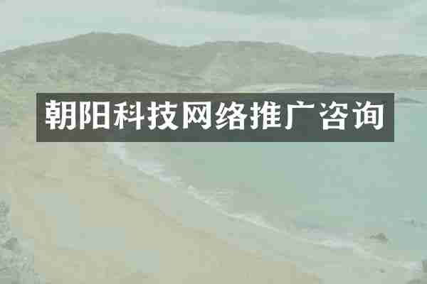 朝阳科技网络推广咨询
