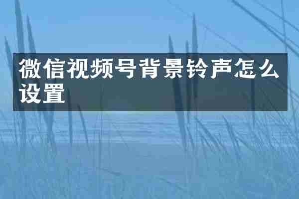 微信视频号背景铃声怎么设置