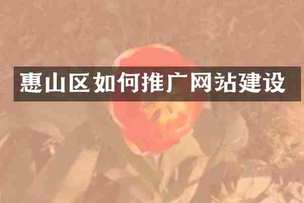 惠山区如何推广网站建设