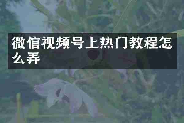 微信视频号上热门教程怎么弄
