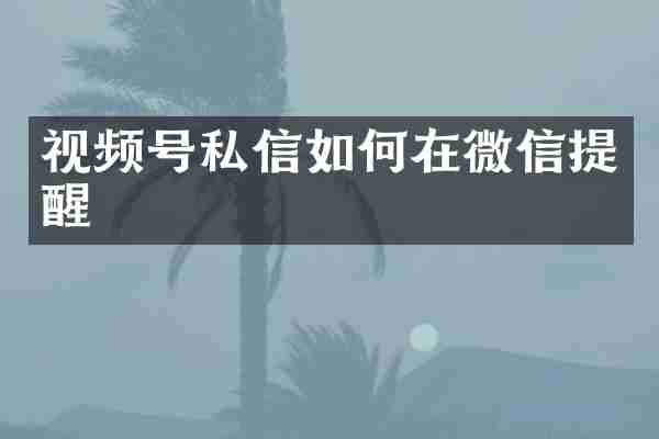 视频号私信如何在微信提醒