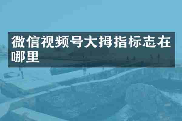 微信视频号大拇指标志在哪里