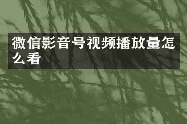 微信影音号视频播放量怎么看