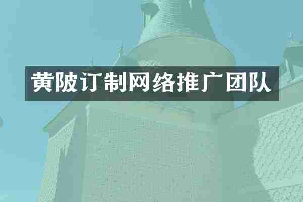 黄陂订制网络推广团队