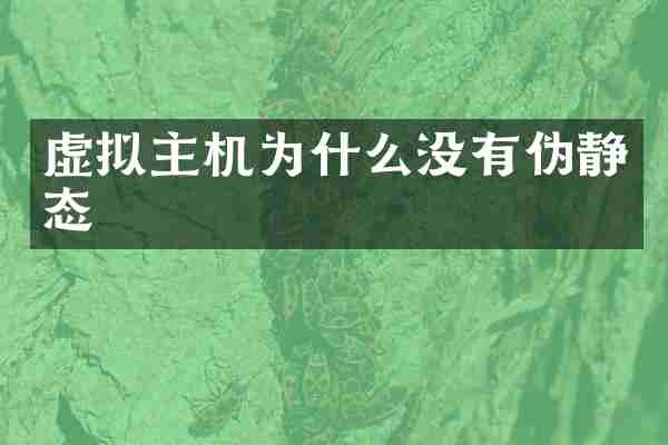 虚拟主机为什么没有伪静态