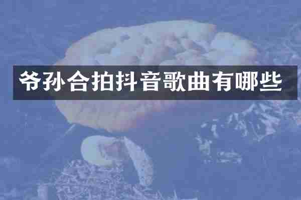 爷孙合拍抖音歌曲有哪些