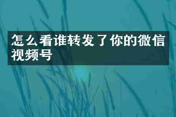 怎么看谁转发了你的微信视频号