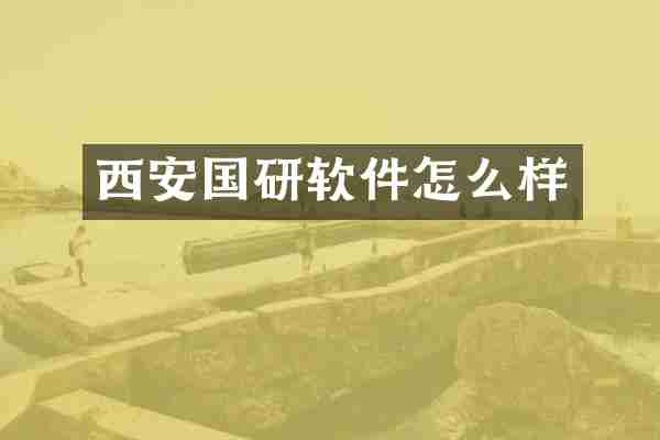 西安国研软件怎么样