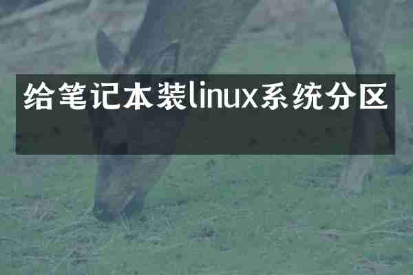 给笔记本装linux系统分区吗