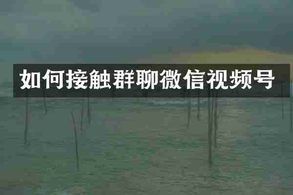 如何接触群聊微信视频号