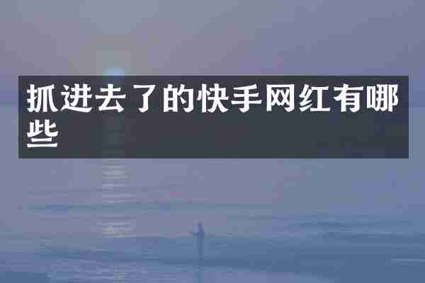 抓进去了的快手网红有哪些