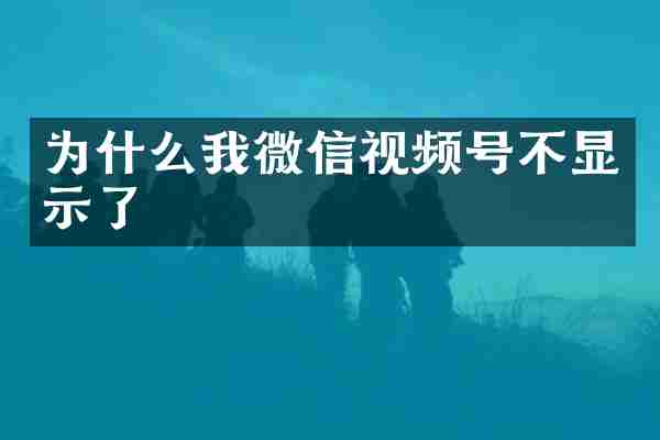 为什么我微信视频号不显示了