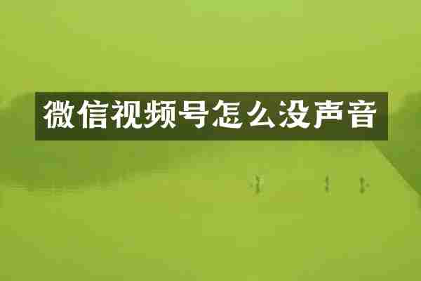 微信视频号怎么没声音