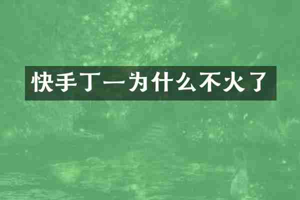 快手丁一为什么不火了
